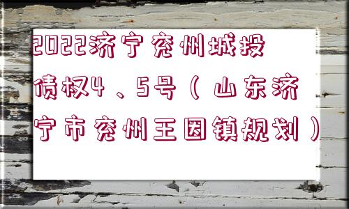 2022濟寧兗州城投債權4、5號（山東濟寧市兗州王因鎮規劃）